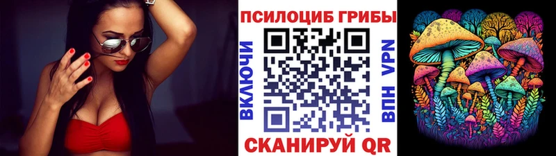 Псилоцибиновые грибы MAGIC MUSHROOMS Тайшет