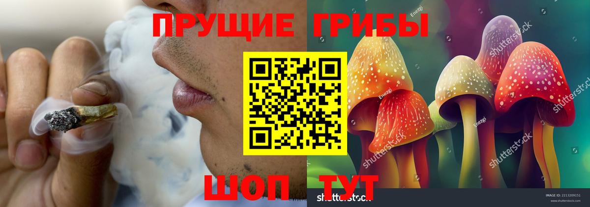 Тайшет  Псилоцибиновые грибы ЛСД  Вход с VPN 